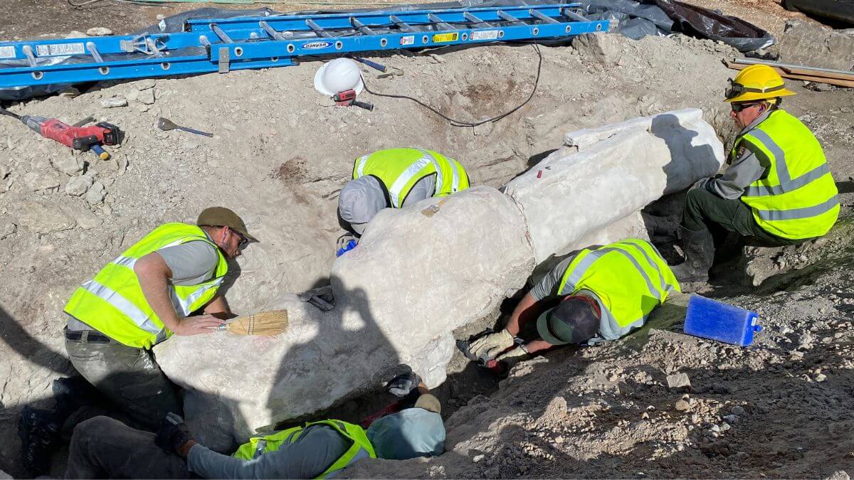 Monument staff work on excavated dinosaur fossils in the Quarry Exhibit Hall Parking Lot.