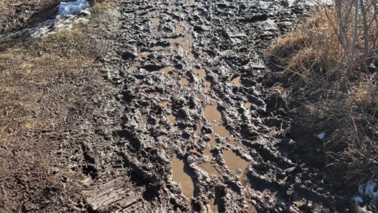 Using trails during muddy conditions can damage trail surfaces.