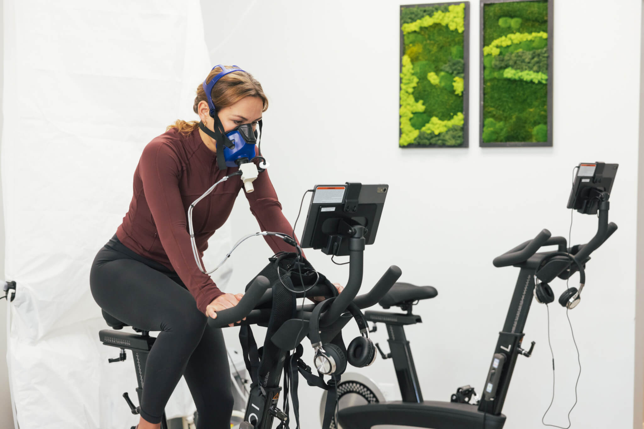 One week, three sessions, a complete picture of your health, all for $99