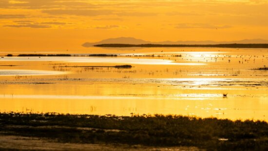 The shores of the Great Salt Lake near Antelope Island are pictured on Tuesday, May 21, 2024.