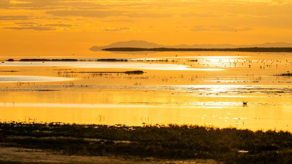 The shores of the Great Salt Lake near Antelope Island are pictured on Tuesday, May 21, 2024.