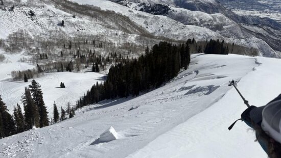 Avalanche terrain in the Caribou Basin/Snake Creek backcountry above Midway, Utah, where a 45-year-old snowbiker was killed after triggering a large hard-slab avalanche Sunday, Feb. 22, 2026, authorities said. Photo: Utah Avalanche Center