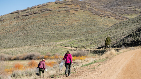 Volunteers pick up trash along East Canyon Road at the 910 Cattle Ranch as part of Summit County's Stewardship Thursdays series.