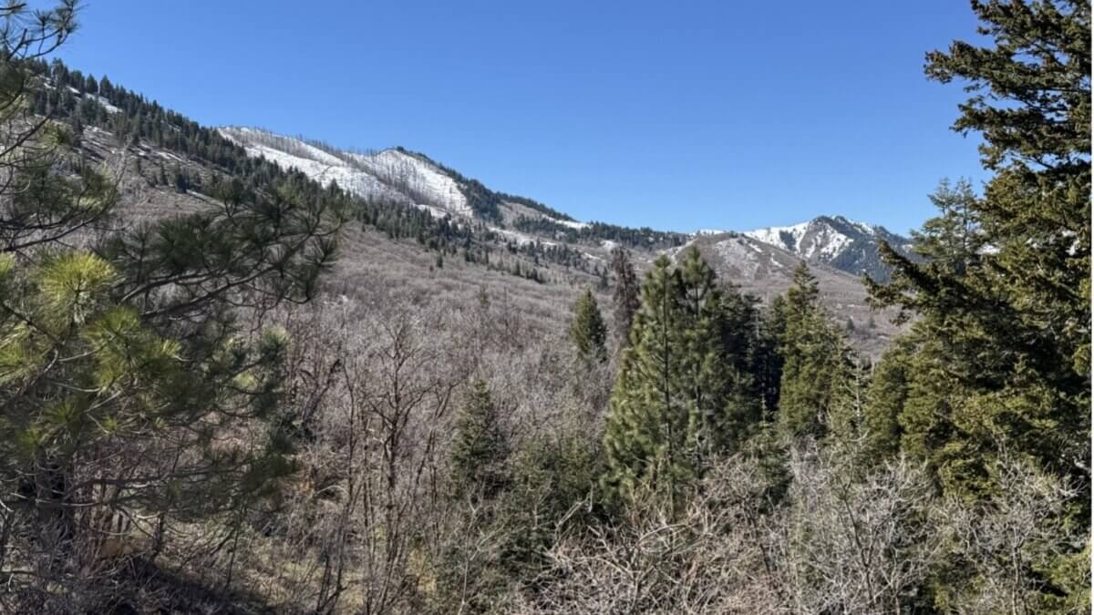 Limited snowpack, as seen from Parley’s Summit looking west into Parley’s Canyon. Normally, this area would be covered with several feet of snow this time of year. The snowfield on the left side of the photo is the Parleys Canyon Fire burn area from 2021.