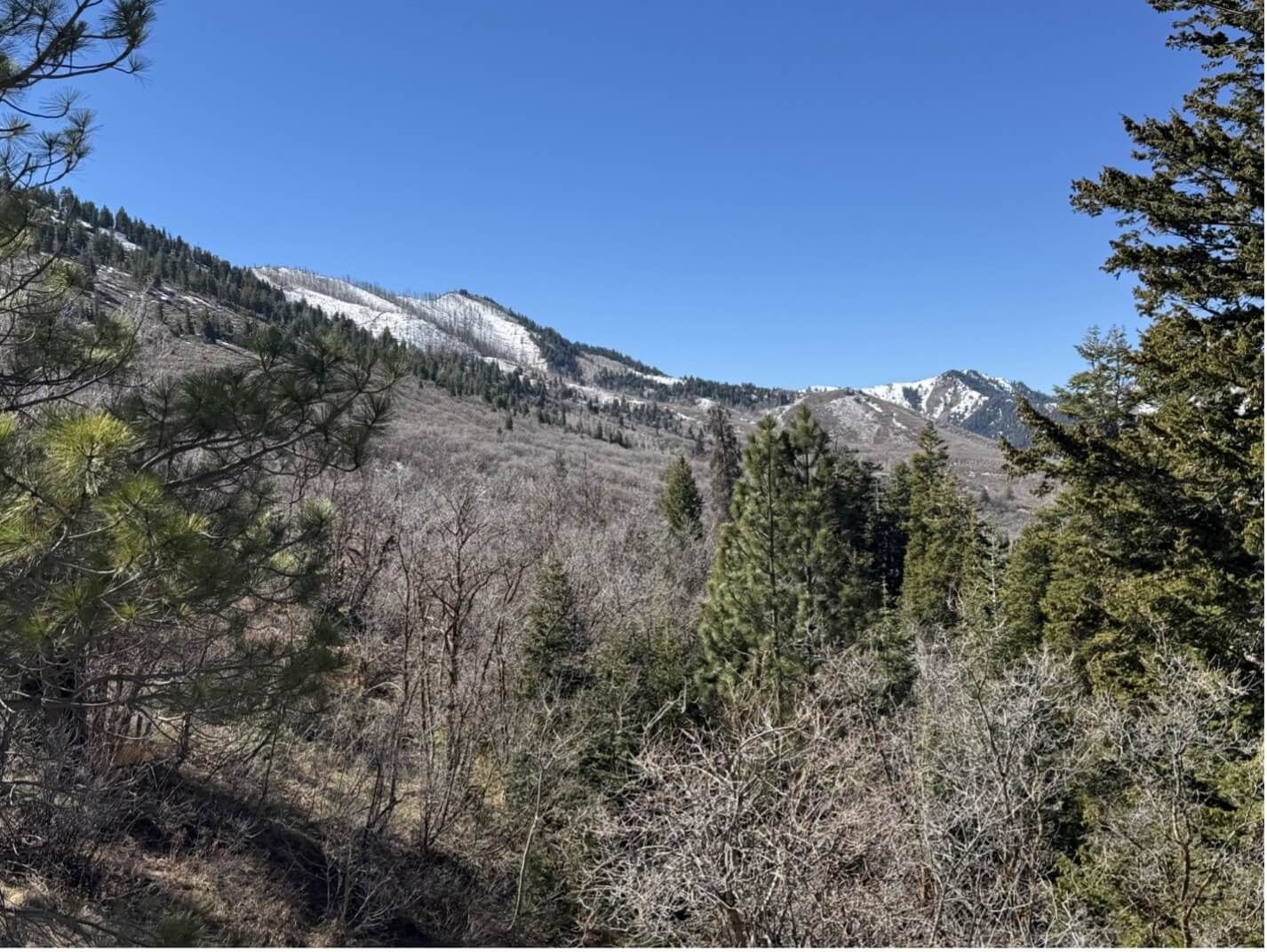 Low snowpack, warm winter could raise wildfire risk in Utah