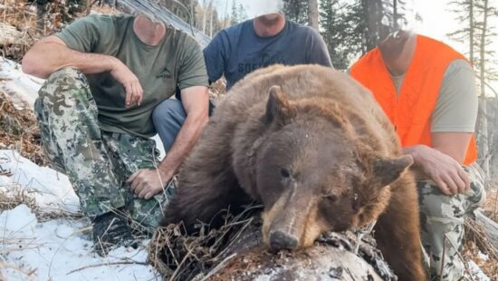 Photo evidence of poaching (faces have been erased for privacy)