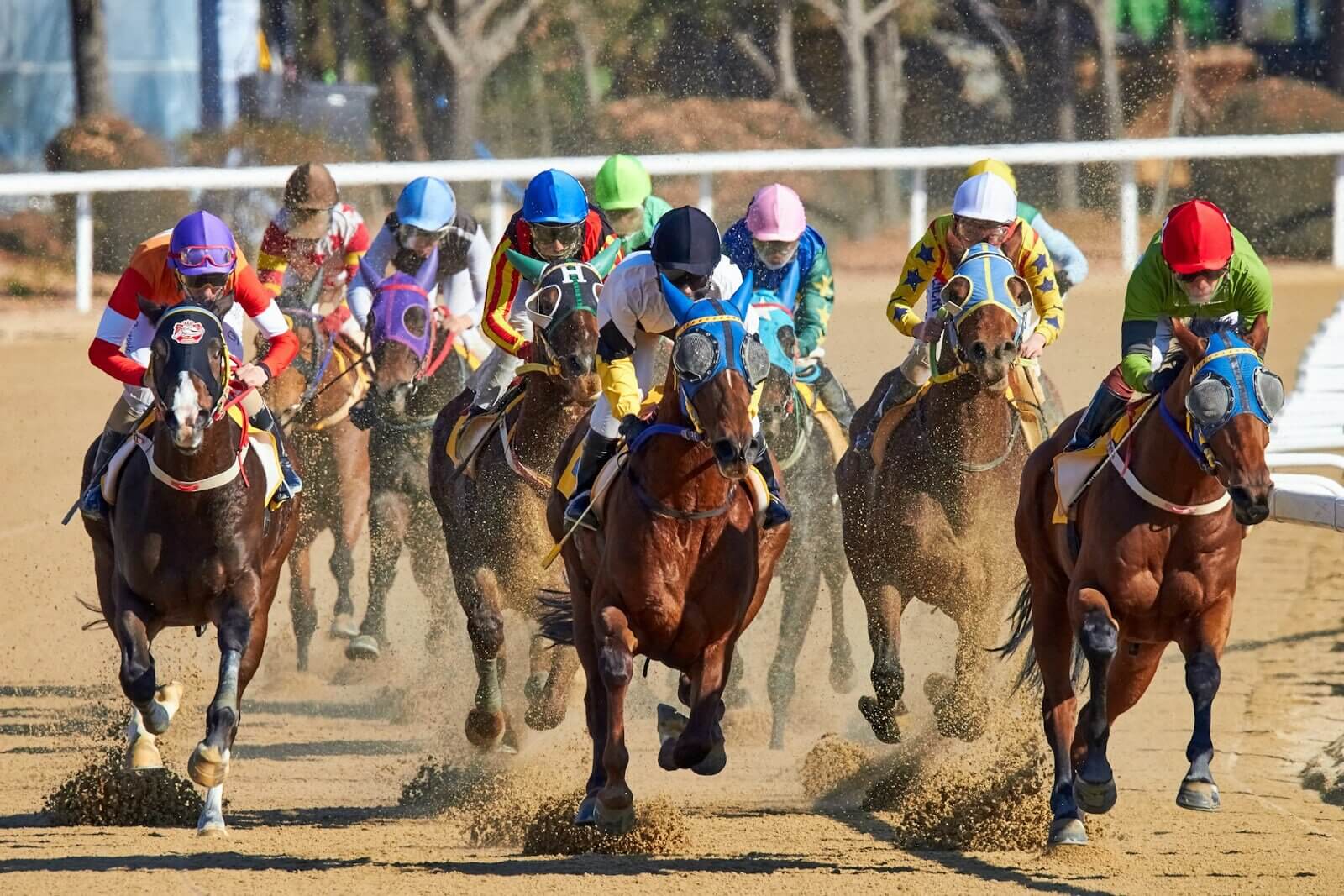 A horse schooled in Utah is headed to the Kentucky Derby — and he’s a long shot