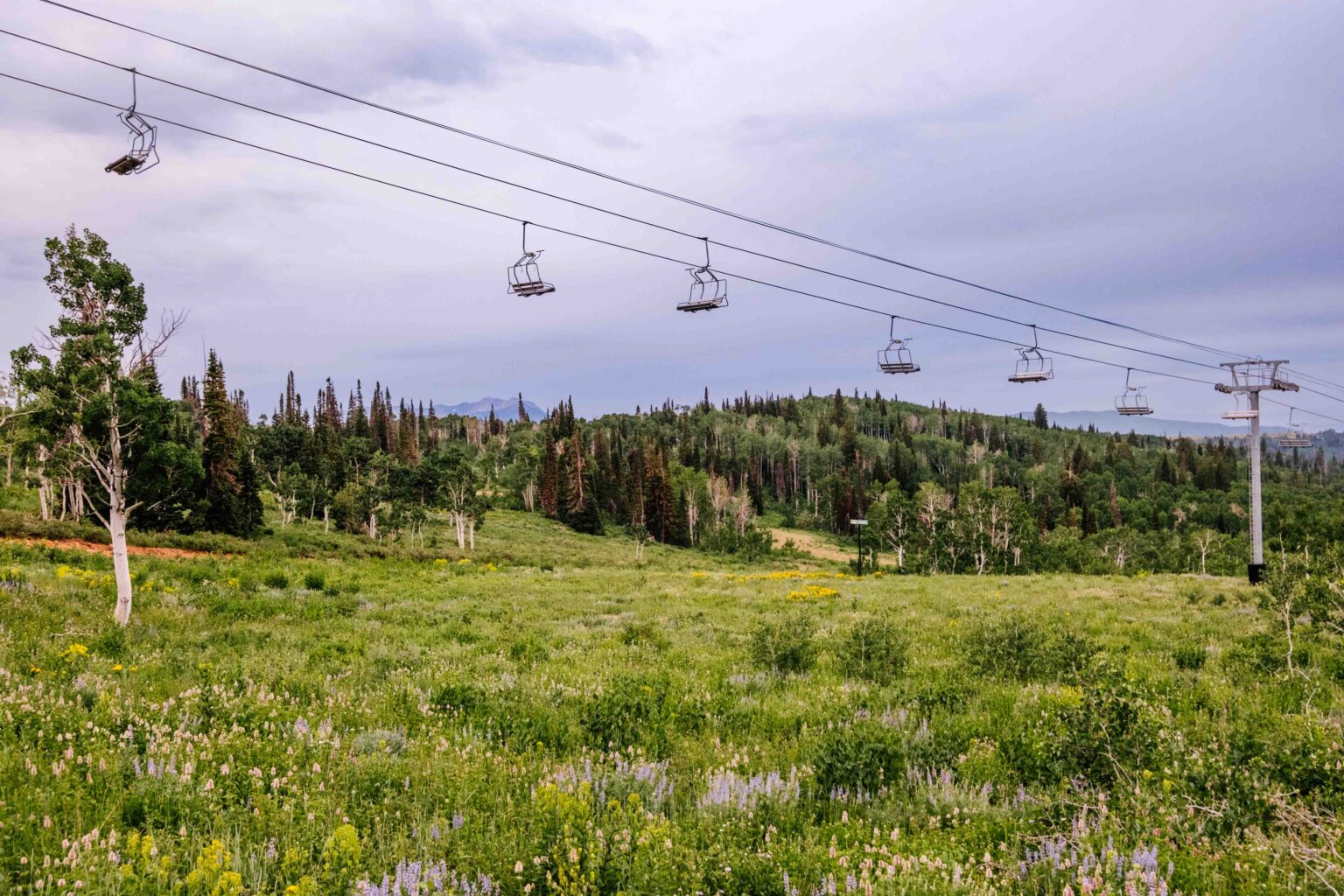 Powder Haven announces $157 million investment in new lifts, lodge and ...