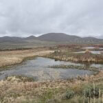 Richardson Flat site.