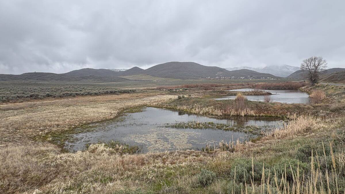 Richardson Flat site.