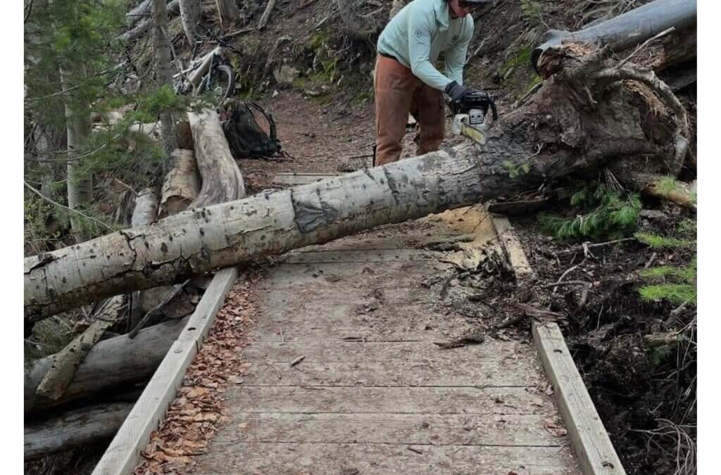 Basin Recreation crews cleared about 150 trees from Mid Mountain Trail this week as patchy snow continues to linger near 8,000 feet.