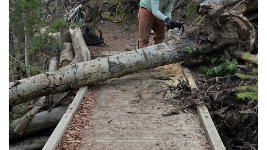 Basin Recreation crews cleared about 150 trees from Mid Mountain Trail this week as patchy snow continues to linger near 8,000 feet.