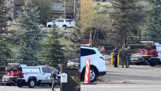 Heavy police presence in Bear Hollow neighborhood, residents asked to avoid the area