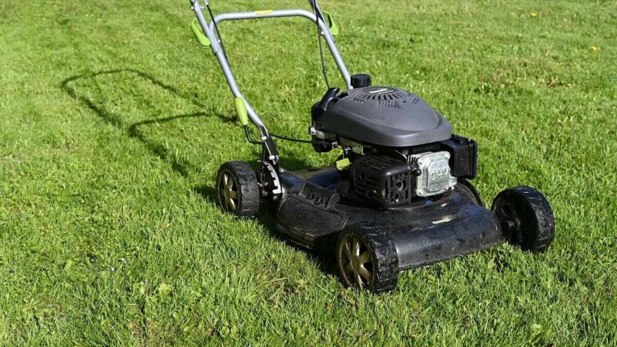 Park City Municipal is offering incentives to residents who are swapping their lawns for water-wise landscaping.