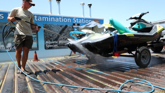 Boats leaving Lake Powell are required to undergo an exit inspection and a separate decontamination or cleaning process this summer after quagga mussels were detected.