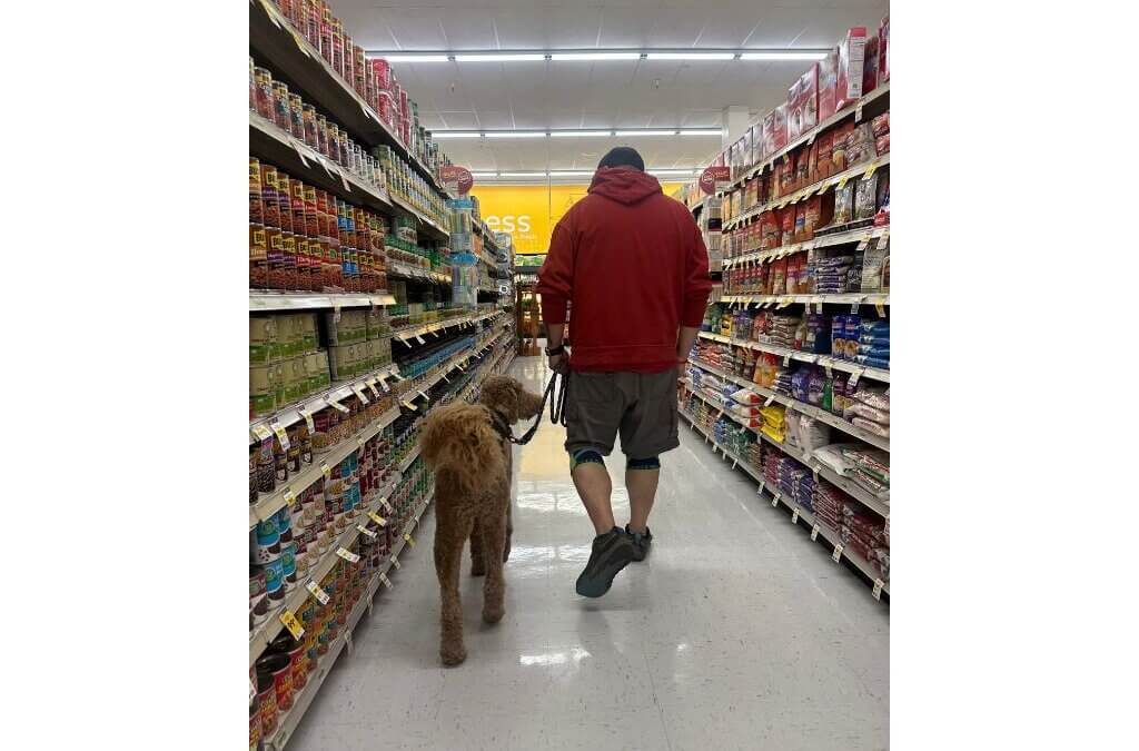 A Canines With a Cause service dog practices deep pressure therapy with a veteran during public access training. The Utah nonprofit pairs rescue dogs with veterans affected by PTSD, traumatic brain injuries, and military sexual trauma.