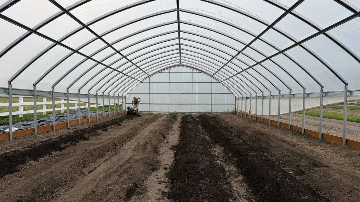 Like many farms, Velvet Acre Farms uses a high tunnel to extend their growing season.