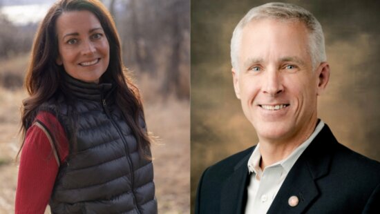Christie Babalis and Canice Harte were ahead in close Democratic Summit County Council primary races Tuesday night, according to unofficial results.