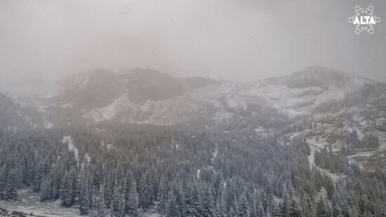 Snow falls at Alta on June 28, 2026 blanketing Albion Basin and frosting the pines as summer takes a back seat in the high Wasatch