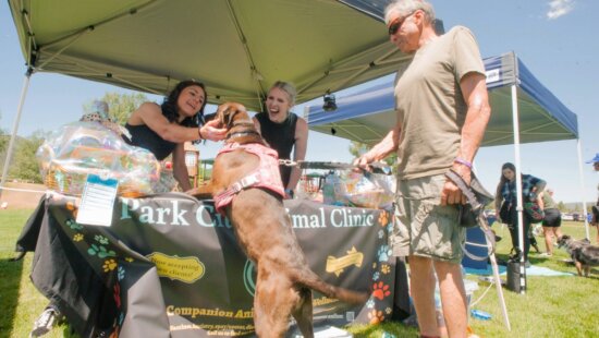Bark City Festival 2024.