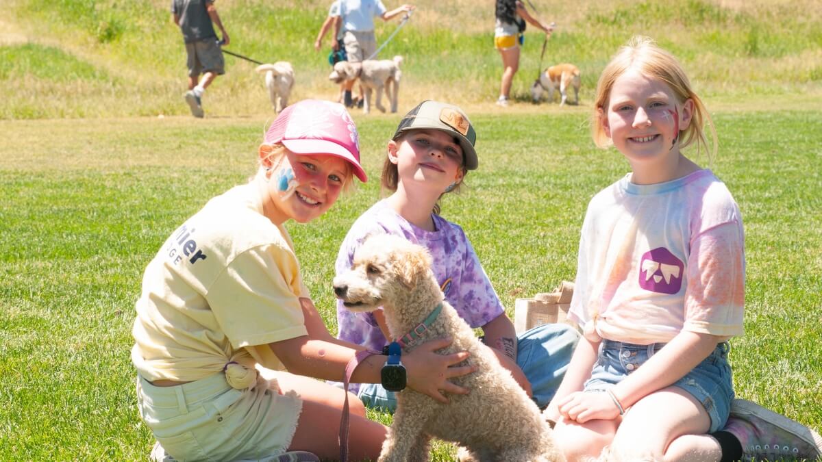 Bark City Festival 2024.
