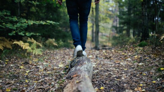 The Park City-based Ripline Foundation turns outdoor recreation into fundraising for child hunger relief, inviting participants to hike, bike, run, ski or climb in support of meals for kids.