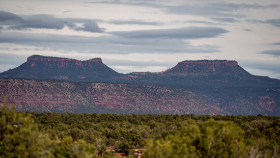 The Bears Ears buttes, namesake of the Bears Ears National Monument, are pictured on Friday, Sept. 19, 2025.