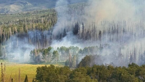The Buck Basin Fire burning in Wasatch County.