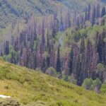 An AI camera alerted fire officials to smoke on Lewis Peak Friday morning.