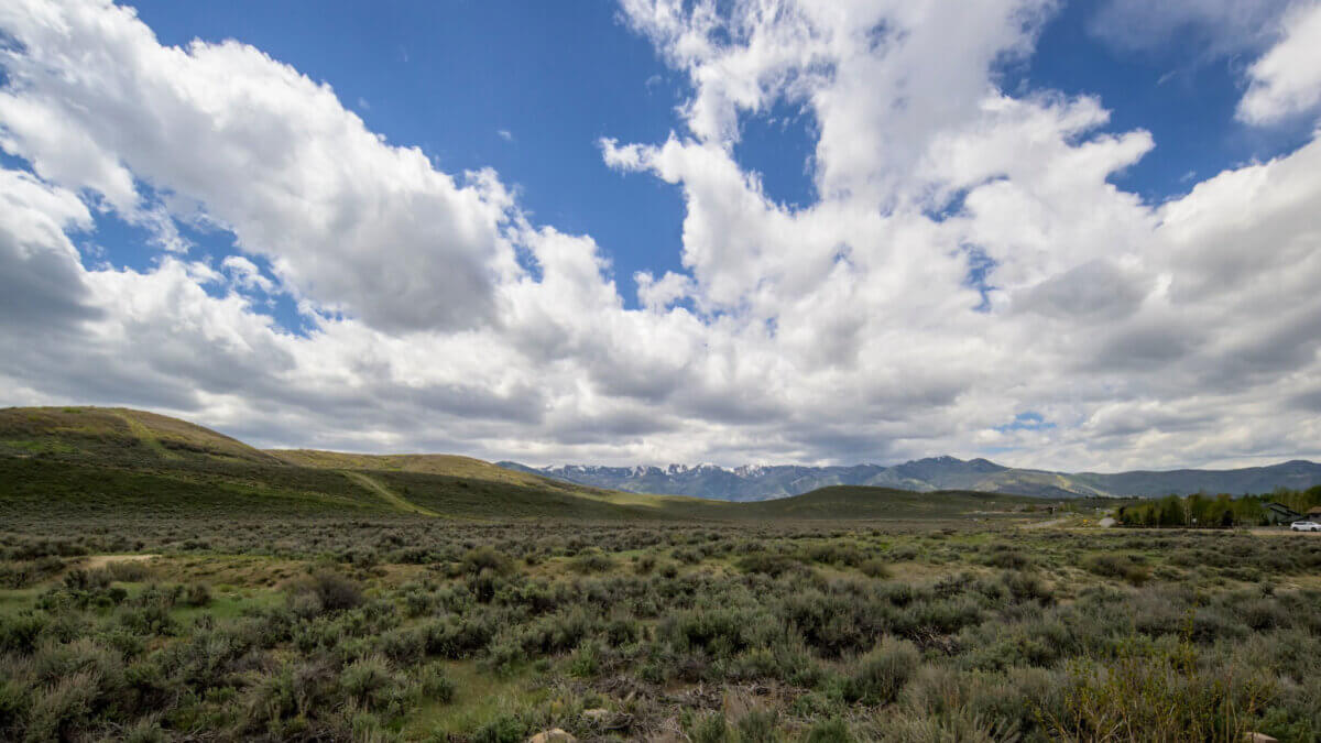 A group of community members have formed a coalition to highlight concerns with a plan being discussed with the Park City School District to develop 55 acres hat abuts open space in Round Valley.