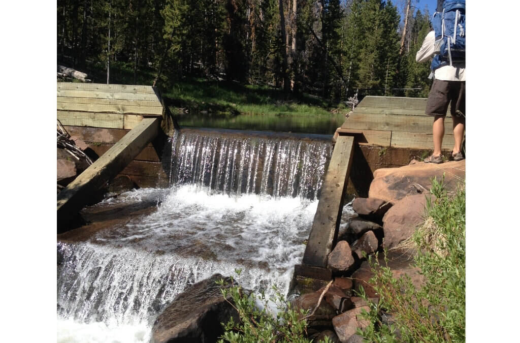 The Utah Division of Wildlife Resources plans treatments in the drainage this August as part of an effort to restore native Colorado River cutthroat trout.