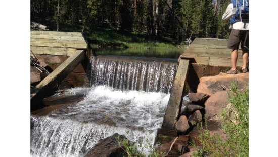 The Utah Division of Wildlife Resources plans treatments in the drainage this August as part of an effort to restore native Colorado River cutthroat trout.