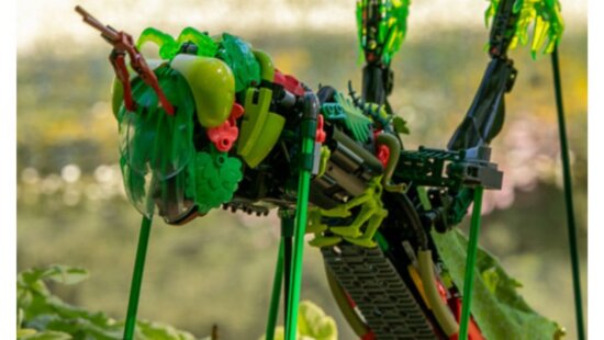 An original LEGO grasshopper created by Utah builder Weston Bindrup is displayed as part of the Natural History Museum of Utah’s Bug World LEGO Contest. The museum is accepting photographs of original insect builds through Aug. 1.