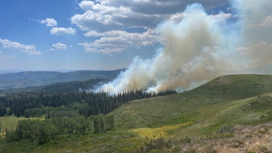 Smoke rises from the Buck Basin Fire burning in patches of timber northwest of Currant Creek Reservoir on the Heber-Kamas Ranger District on Sunday, July 12, 2026. The lightning-caused fire is estimated at 30 acres.