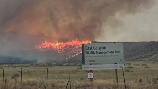 Flames from the Rocky Canyon Fire burn along a hillside behind the East Canyon Wildlife Management Area sign on Sunday, Aug. 9, 2026. Pushed by 40 mph winds and hot temperatures, the fire grew to more than 13,000 acres with 0% containment.