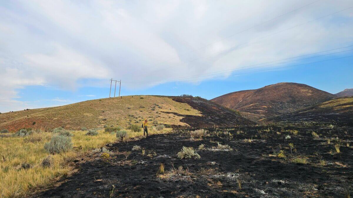 A firefighter looks over a burned area from the Rocky Canyon Fire near Henefer, Utah, in a photo shared by fire officials on Tuesday, Aug. 11, 2026.