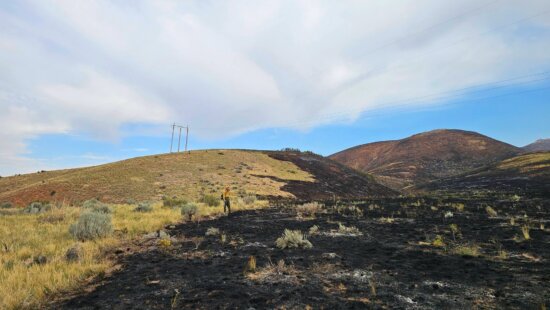 A firefighter looks over a burned area from the Rocky Canyon Fire near Henefer, Utah, in a photo shared by fire officials on Tuesday, Aug. 11, 2026.