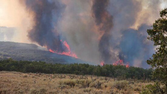 The Rocky Canyon Fire burned more than 16,000 acres near Henefer during summer 2026, underscoring ongoing wildfire risks in Summit County and across the Wasatch Back.