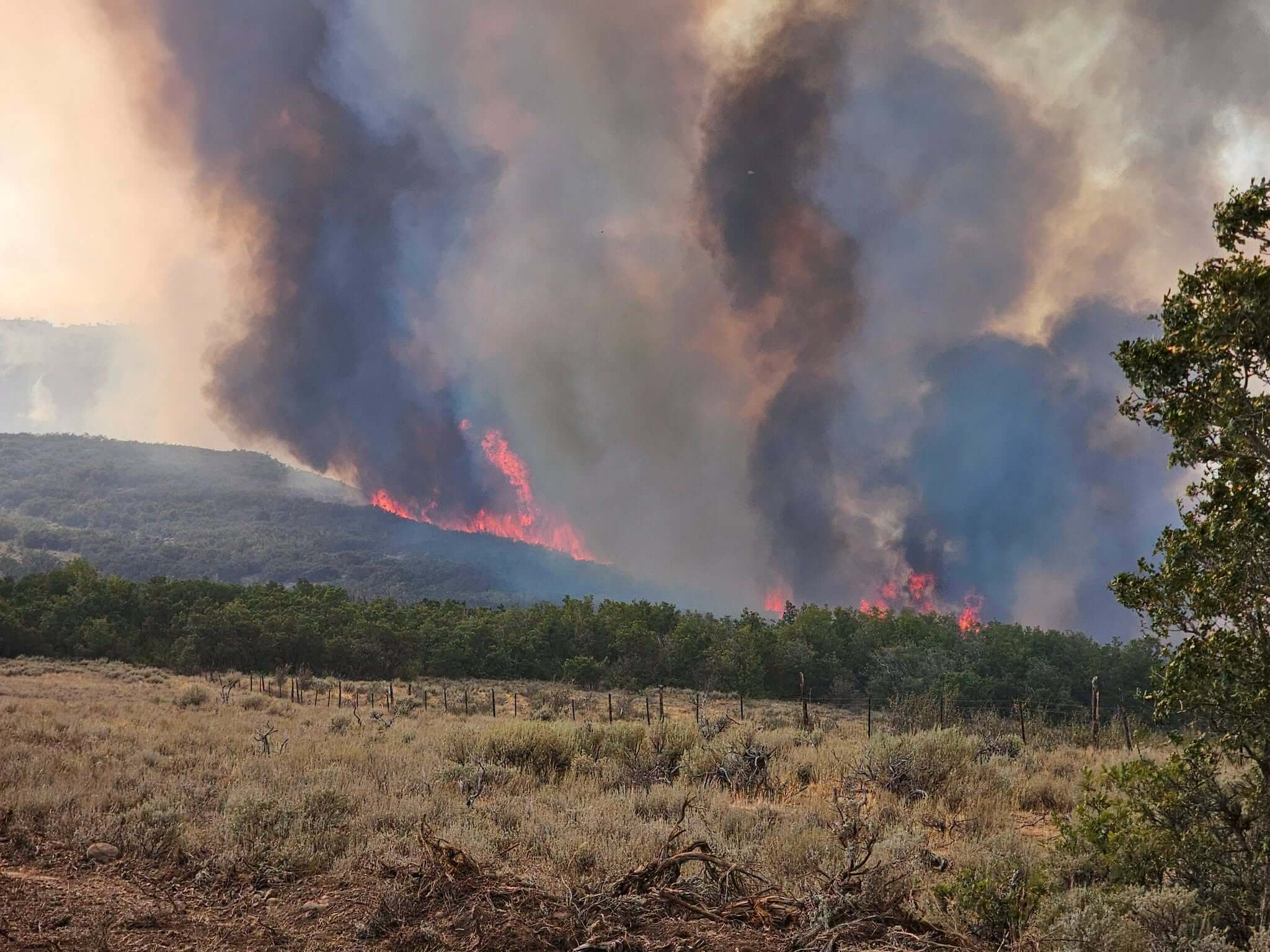 Flames burn along a hillside on the Rocky Canyon Fire, which was its most active overnight since the fire started.