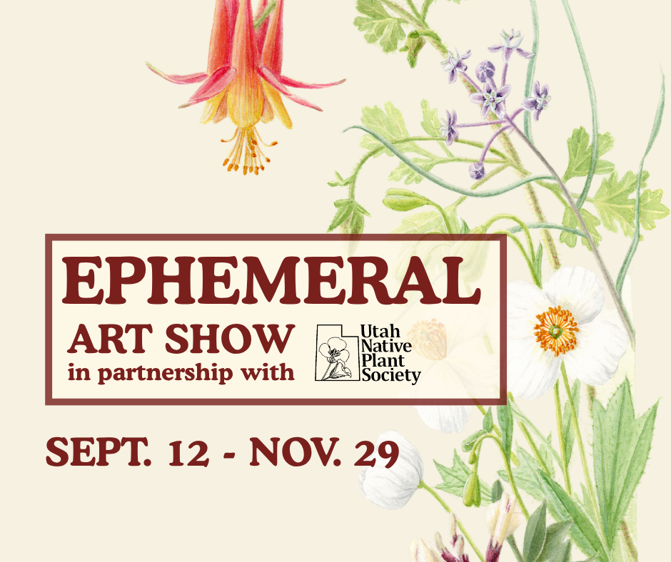Ephemeral INTRO Facebook Post