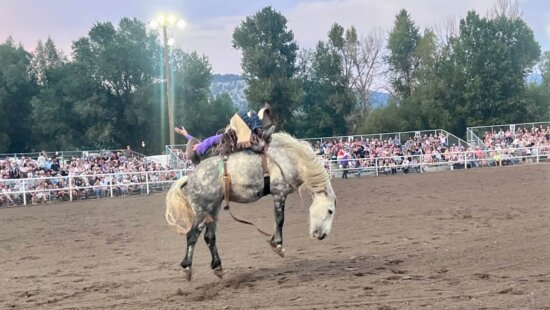 Bucking Broncos at the Summit County Fair Rodeo in Coalville.