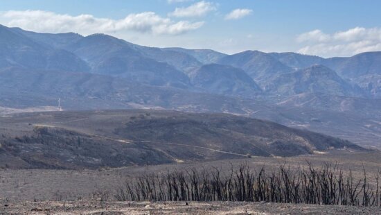 Rocky Canyon fire burn scar.