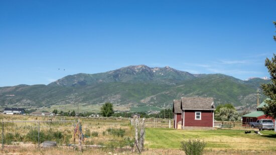 Utah farmers, ranchers and food businesses can apply for state-administered grants aimed at expanding local food production, processing, storage and distribution.