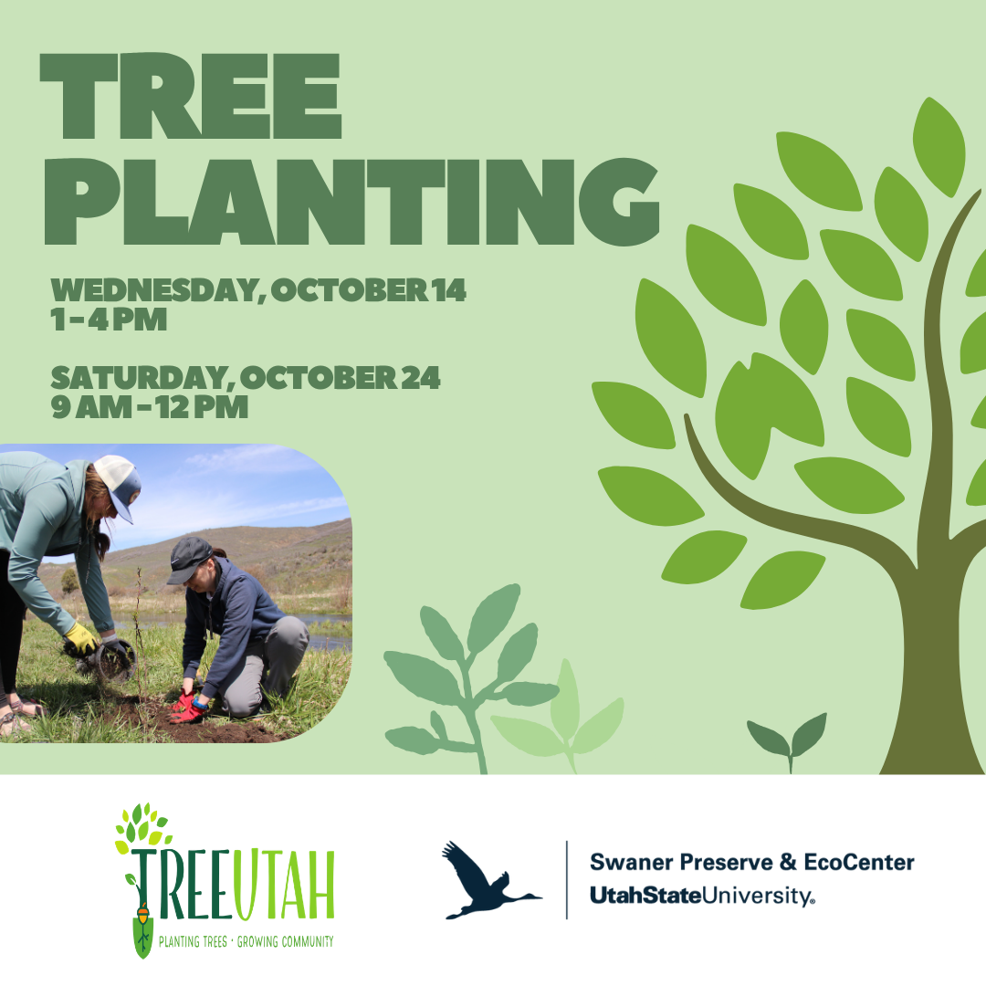 Tree Plantings 2026 Facebook Post_Square
