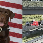 Park City Police K9 Bruno, left, and the U.S. 40 and Interstate 80 interchange where he was seriously injured Tuesday after jumping from a freeway overpass during a suspicious package investigation.