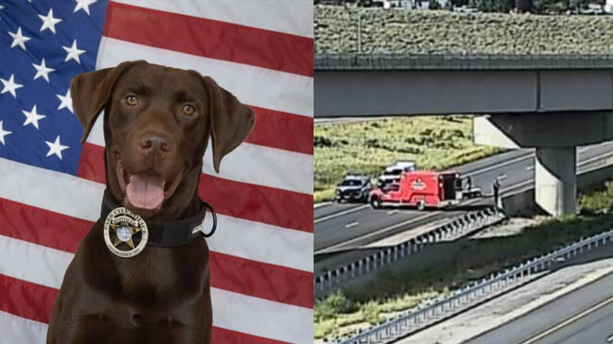 Park City Police K9 Bruno, left, and the U.S. 40 and Interstate 80 interchange where he was seriously injured Tuesday after jumping from a freeway overpass during a suspicious package investigation.