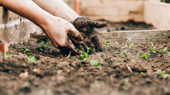 Spoil to Soil in Browns Canyon, where Summit County is considering whether to revoke the composting and recycling operation’s conditional use permit.
