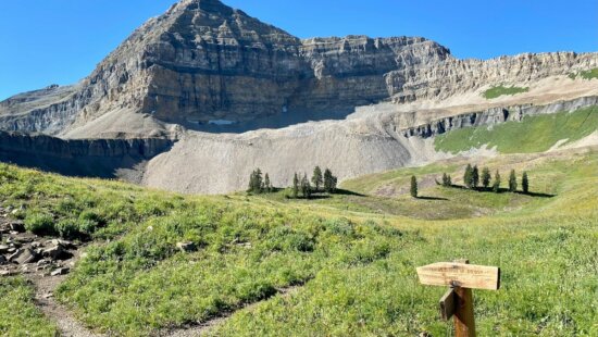 A 19 year old died Friday on Mount Timpanogos from injuries related to a lightning strike on the summit.