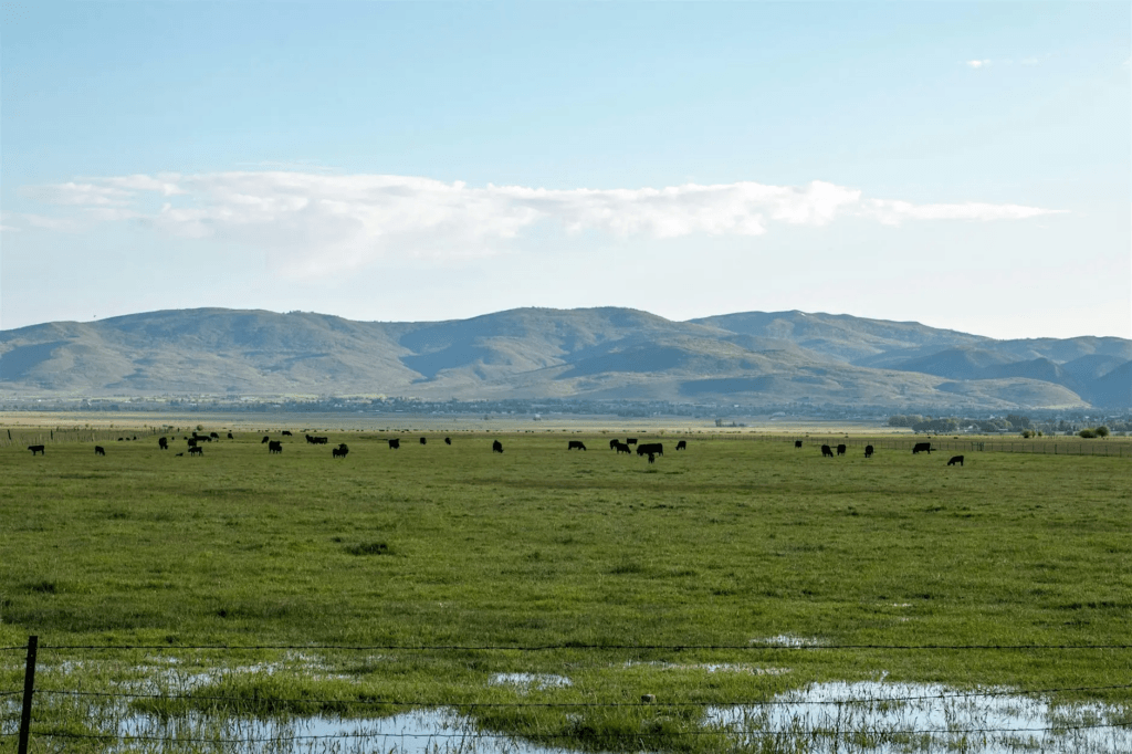 Summit County residents will gather Oct. 14 at the Jim Santy Auditorium for “Roots of Conservation,” a public discussion on the history and future of open-space preservation in the region.