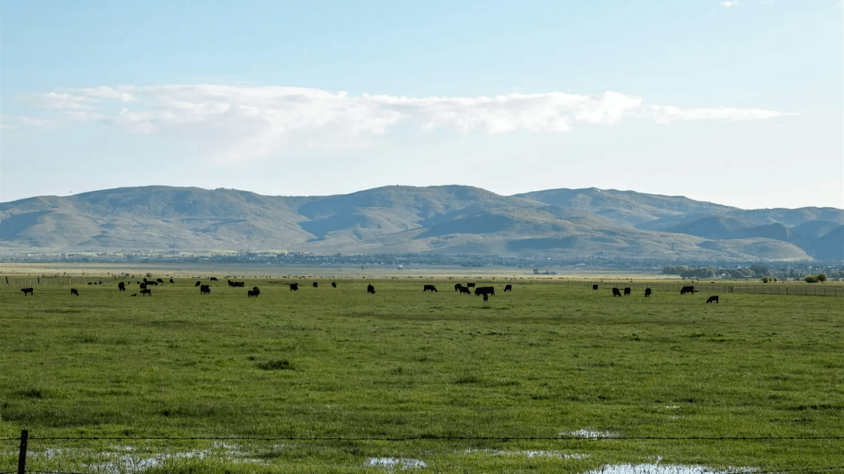 Summit County residents will gather Oct. 14 at the Jim Santy Auditorium for “Roots of Conservation,” a public discussion on the history and future of open-space preservation in the region.